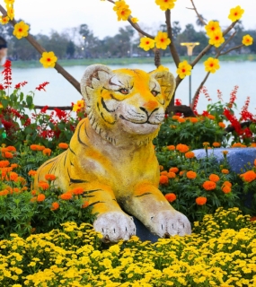 HOA XUÂN HUẾ 2022