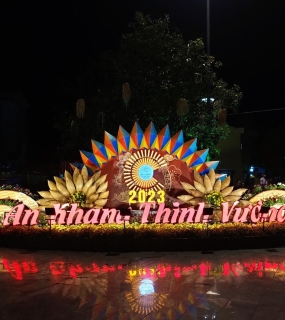 HOA XUÂN PHÚ QUỐC 2023