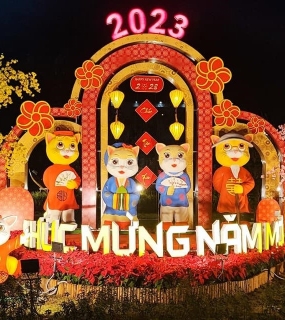 ĐƯỜNG HOA CHÂU PHÚ AN GIANG 2023