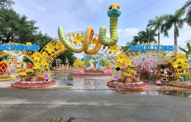 Thi Công Đường Hoa Huyện Long Đất 2025