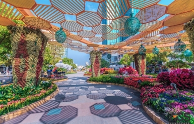 Lý do nên chọn Mỹ Thuật Dương Nhân để thiết kế đường hoa Tết