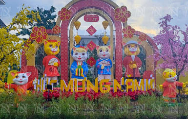 ĐƯỜNG HOA XUÂN CHÂU PHÚ -2023